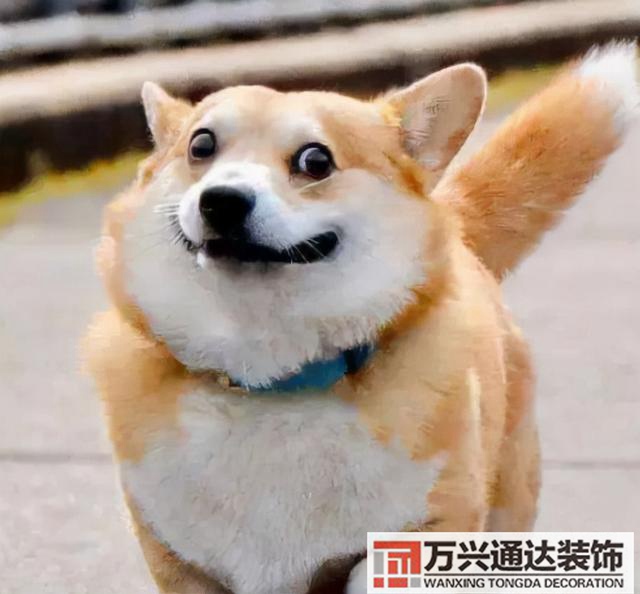 陽臺(tái)裝修設(shè)計(jì)陽臺(tái)的裝修設(shè)計(jì)圖片大全