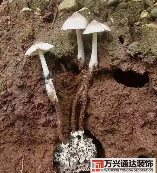云南風(fēng)水寶地云南風(fēng)水寶地分享