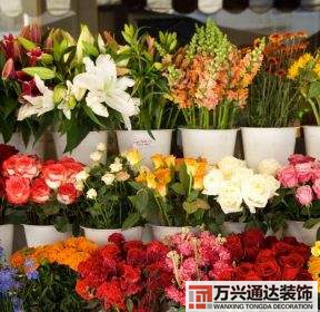 鮮花店裝修效果圖鮮花店裝修效果圖大全 土巴兔花店設(shè)計
